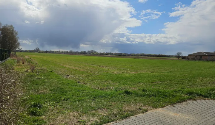 Działka budowlana Okrzeszyn