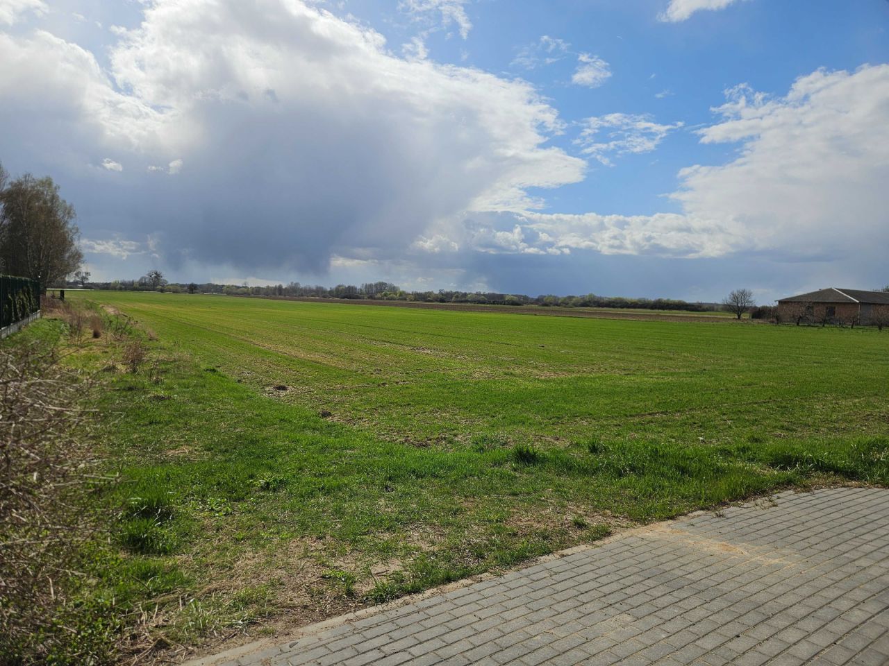 Działka budowlana Okrzeszyn. Zdjęcie 1