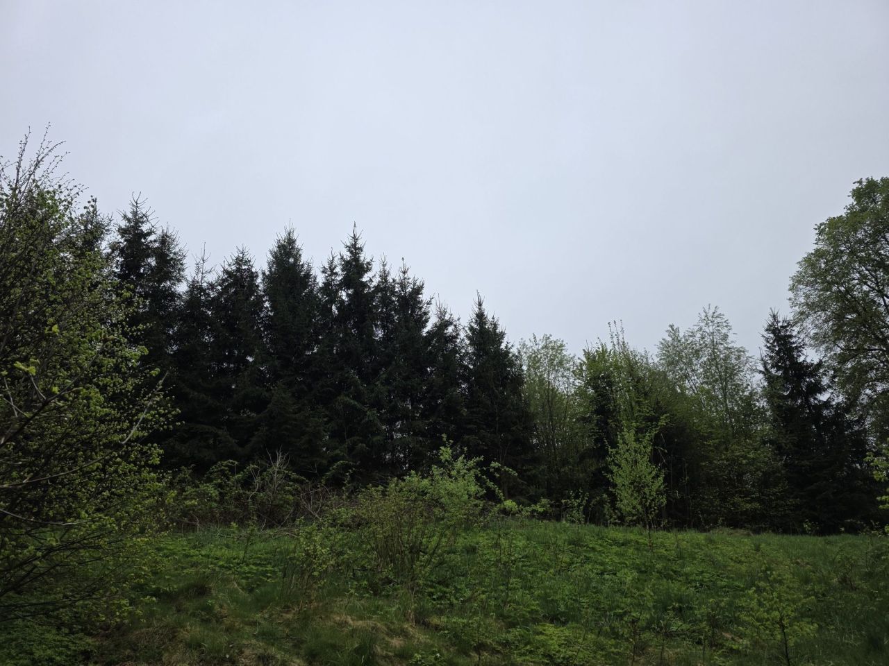 Działka budowlana Krzewie Wielkie. Zdjęcie 4