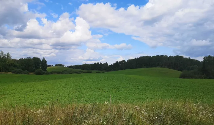 Działka rekreacyjna Dunajek