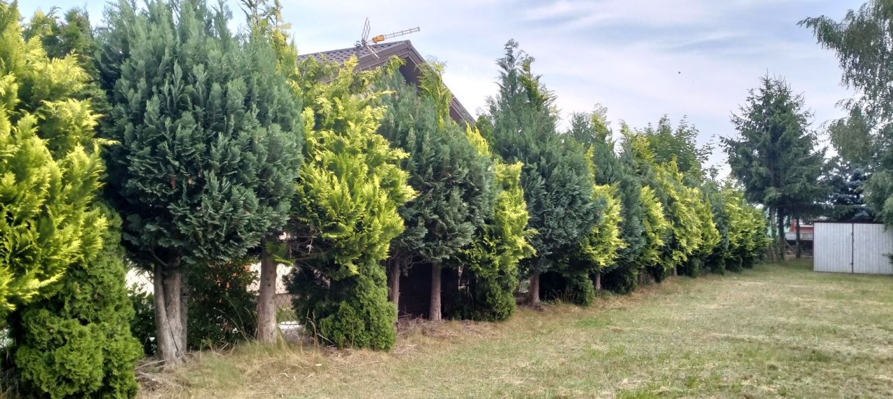 Działka budowlana Olszówka. Zdjęcie 3