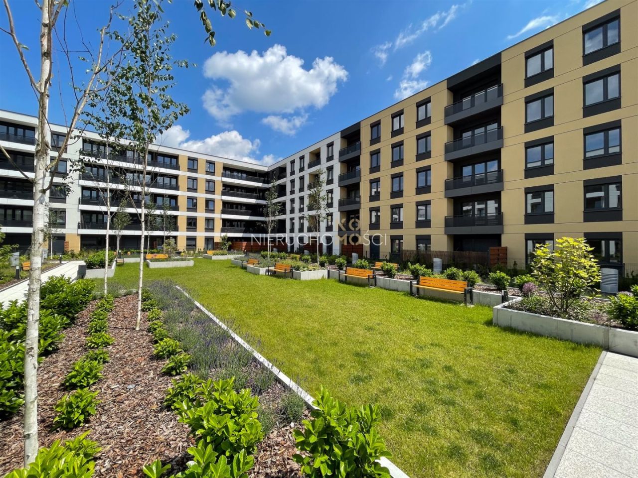 Mieszkanie 4-pokojowe Wrocław Psie Pole. Zdjęcie 5