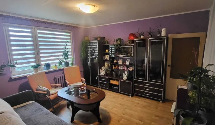 Mieszkanie 2-pokojowe Wałbrzych Piaskowa Góra, ul. Ksawerego Dunikowskiego