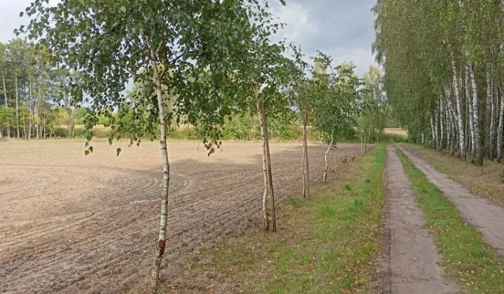 Działka budowlana Ciemniewo