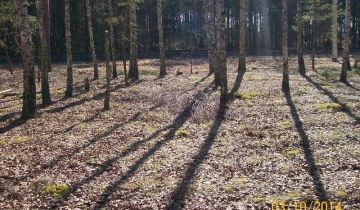 Działka leśna Wólka Radzymińska