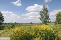 Działka inwestycyjna Kraków Zwierzyniec, ul. Głogowiec. Zdjęcie 1