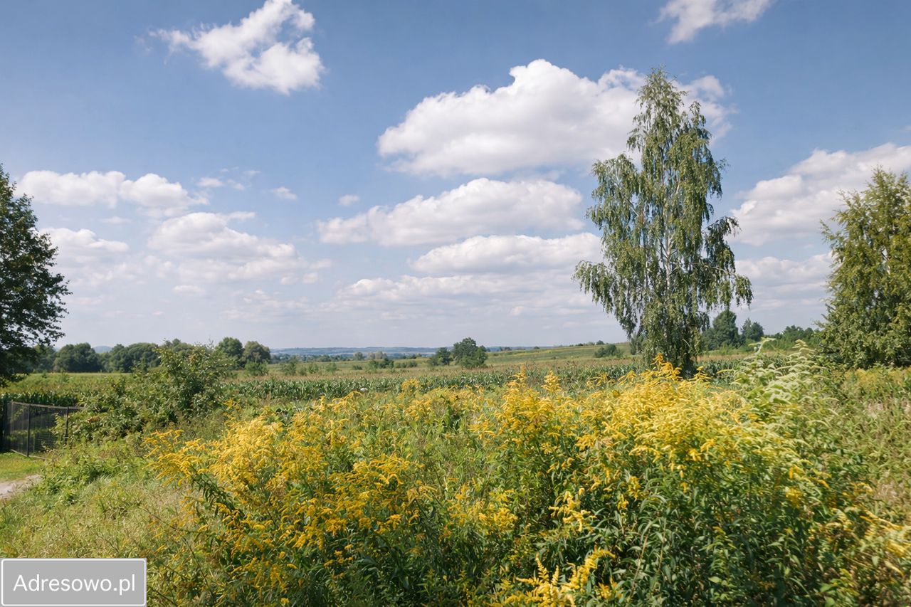 Działka inwestycyjna Kraków Zwierzyniec, ul. Głogowiec. Zdjęcie 2