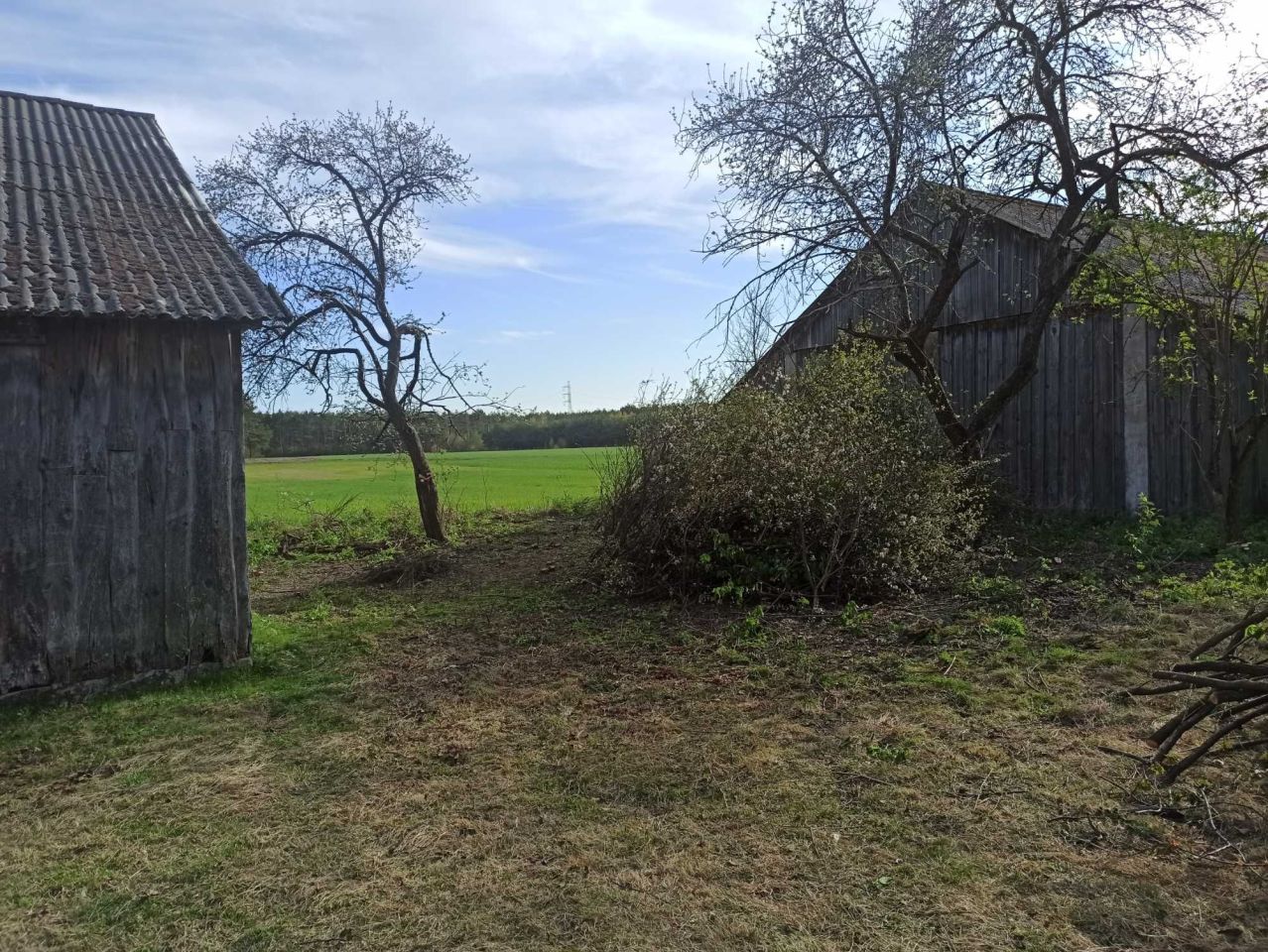 Działka siedliskowa Dobryń Duży. Zdjęcie 2