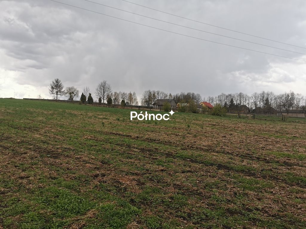Działka rolna Grabowiec. Zdjęcie 8
