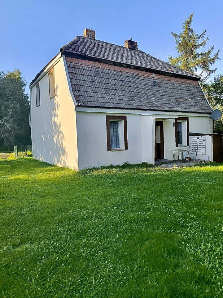 Zdjęcie 2