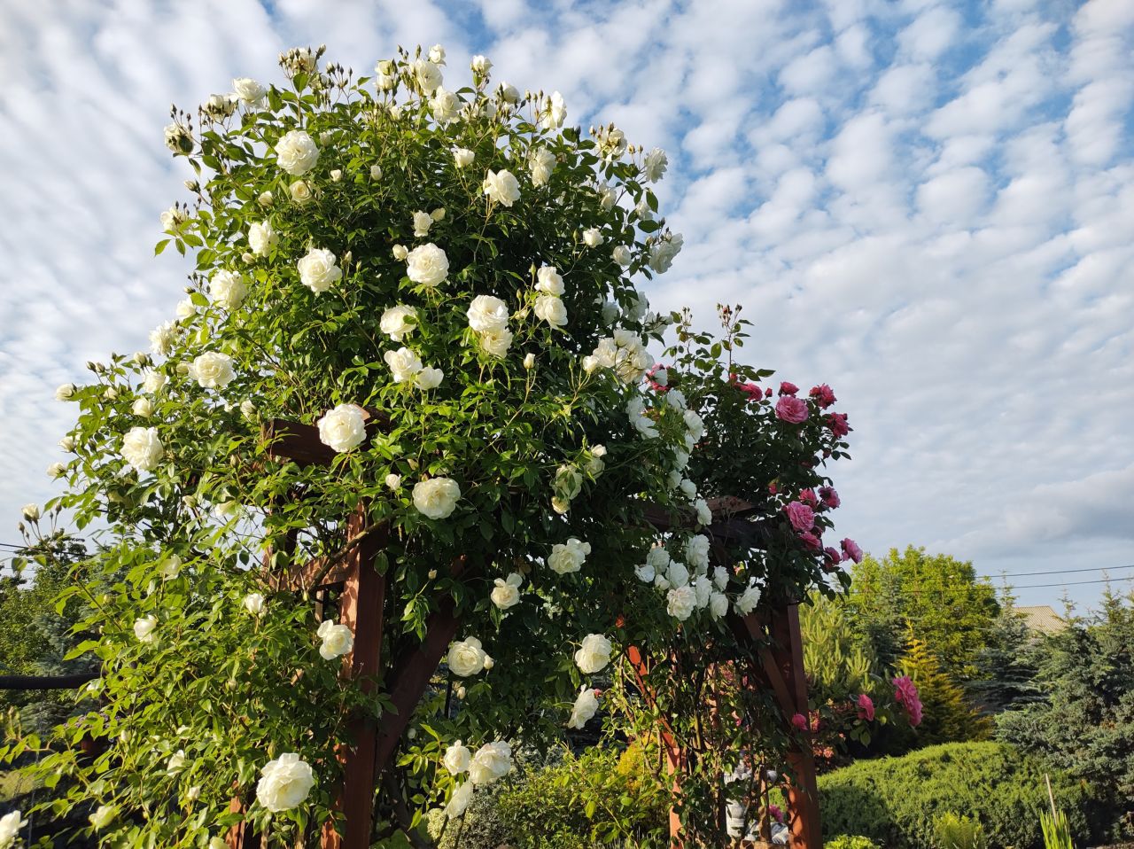 dom wolnostojący, 6 pokoi Mniów Raszówka, ul. Raszówka. Zdjęcie 10