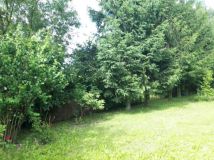 Działka rod Storkówko. Zdjęcie 2