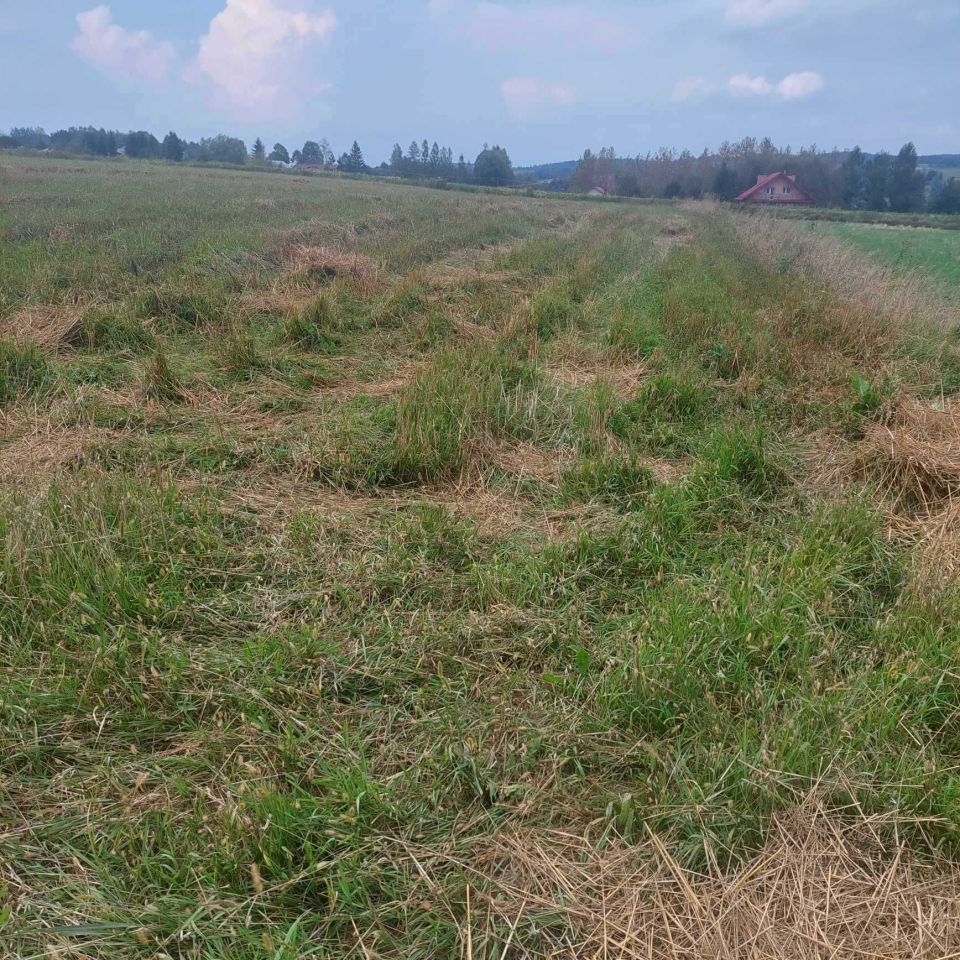 Działka rolno-budowlana Czermna. Zdjęcie 7