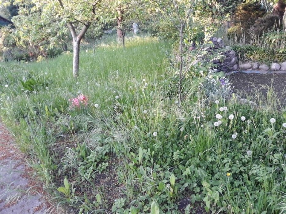 Działka rekreacyjna Szczecin Gumieńce, ul. Spiska