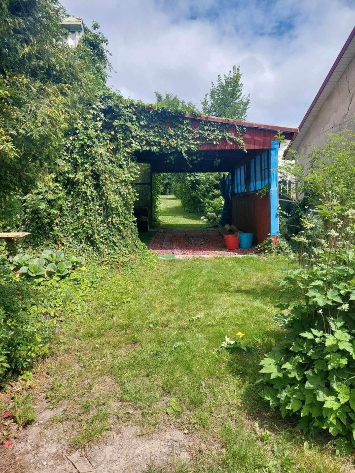 Działka rolno-budowlana Lasocin. Zdjęcie 3