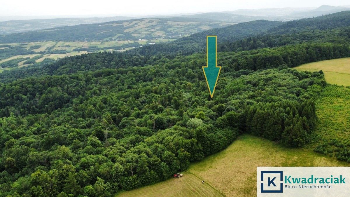 Działka leśna Stary Żmigród. Zdjęcie 3