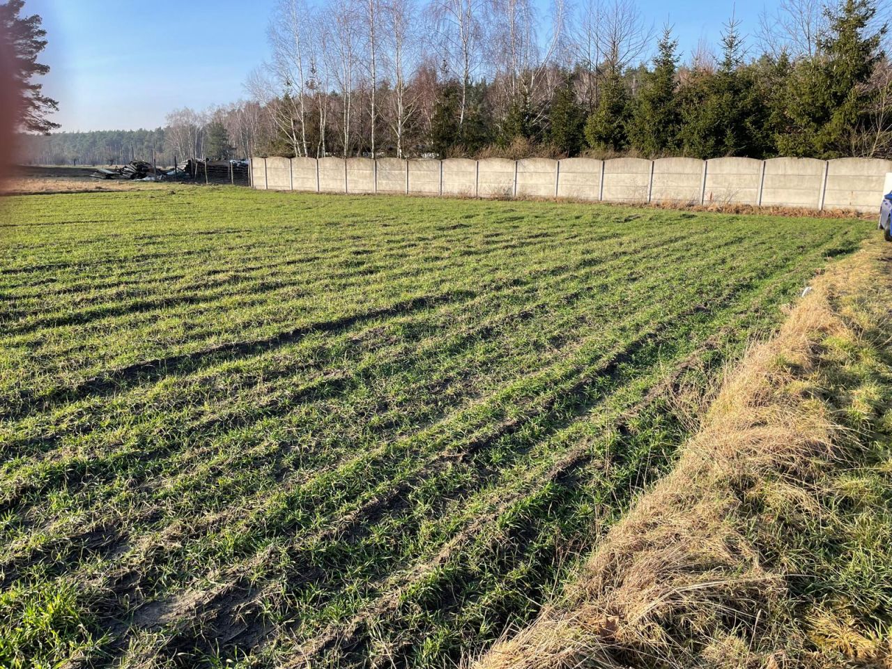 Działka budowlana Murzynowo Leśne, ul. Jodłowa. Zdjęcie 3