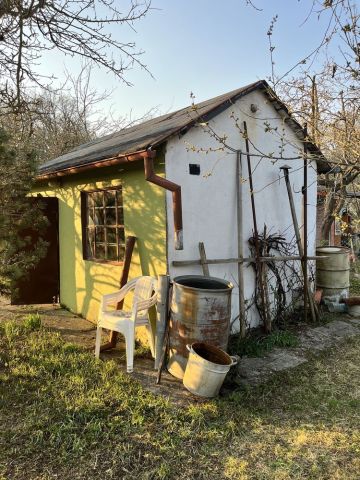 Działka rod Wrocław Psie Pole. Zdjęcie 1