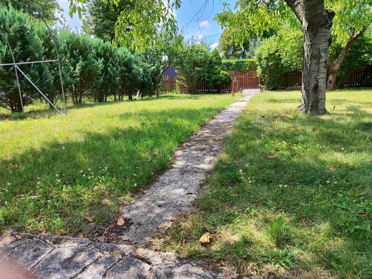 Działka rod Sulechów, ul. Łochowska. Zdjęcie 7