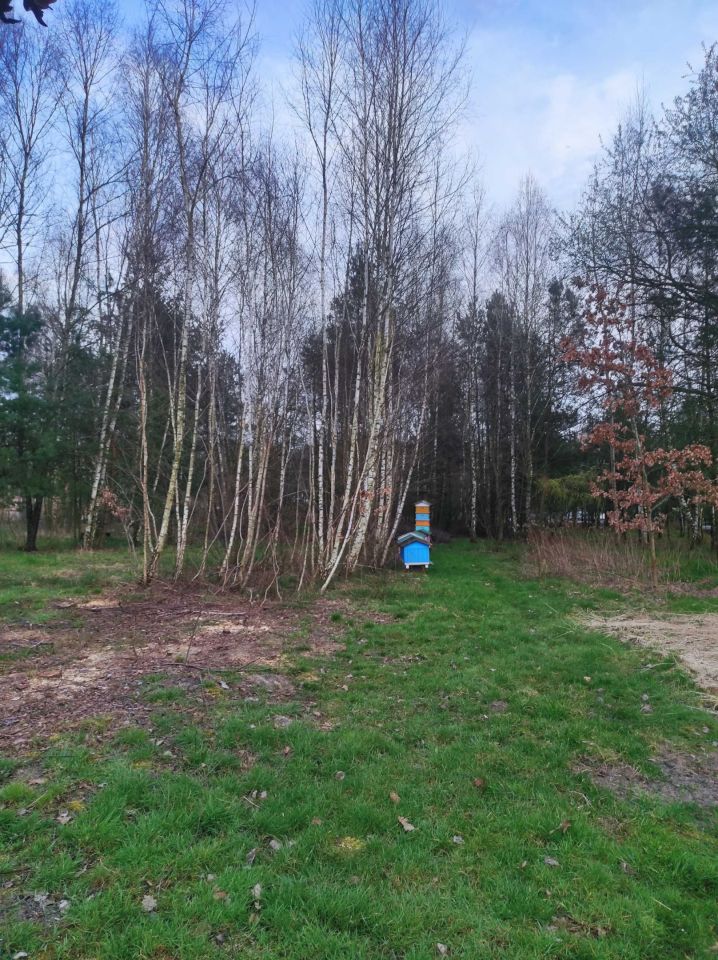 Działka budowlana Chorzelów. Zdjęcie 2