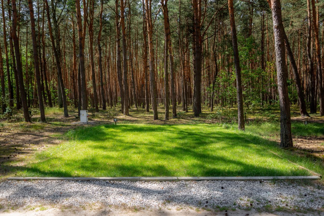 Działka rekreacyjna Biała Góra. Zdjęcie 8