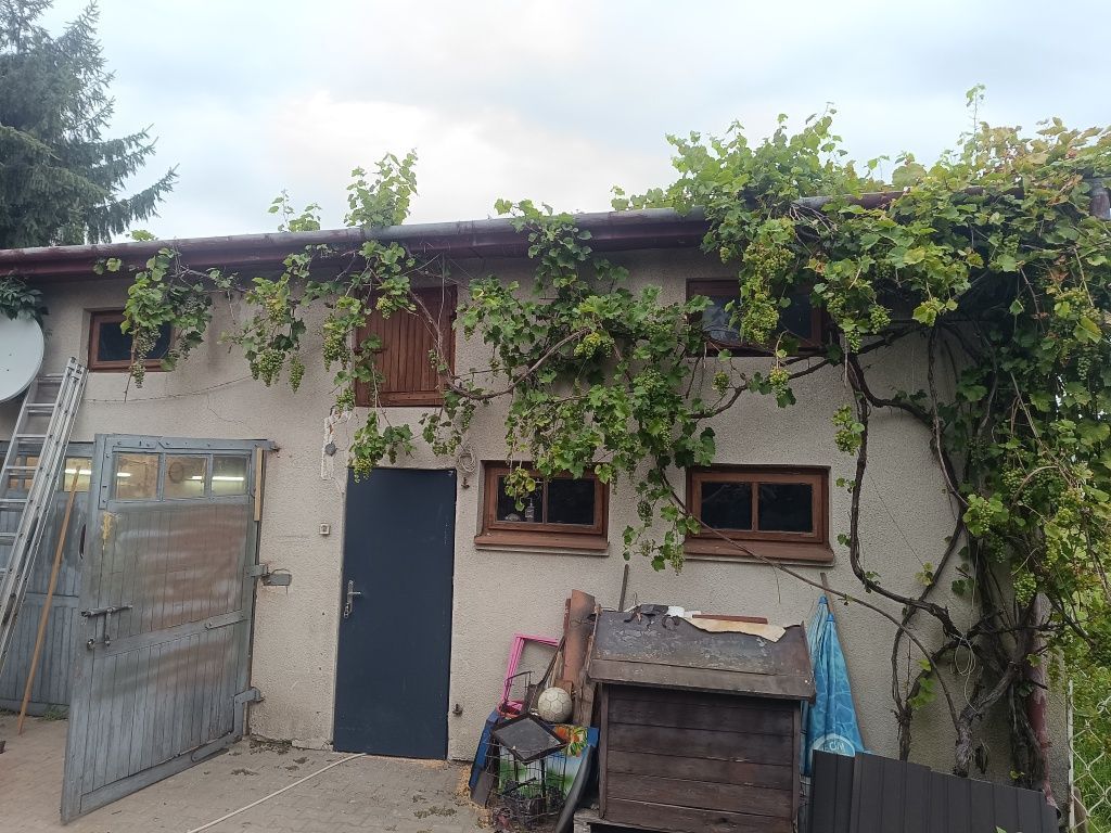 dom wolnostojący, 5 pokoi Hrubieszów Antonówka, ul. Zamojska. Zdjęcie 5