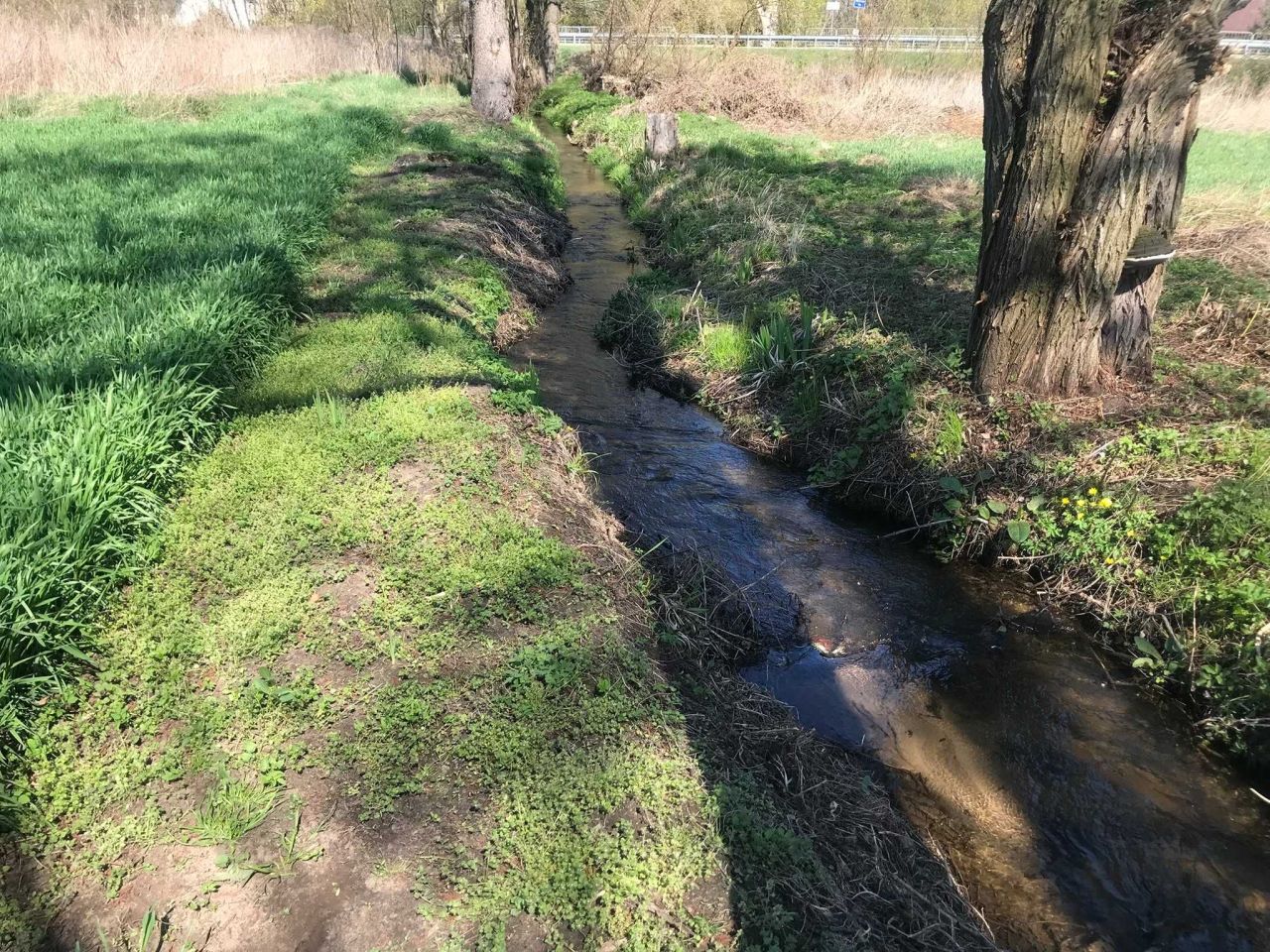 Działka rolno-budowlana Wysokie Koło. Zdjęcie 5