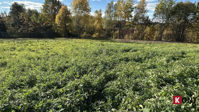 Działka inwestycyjna Włosań. Zdjęcie 2