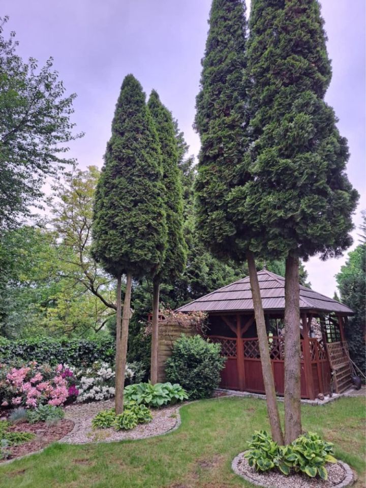 dom wolnostojący Niemodlin. Zdjęcie 4