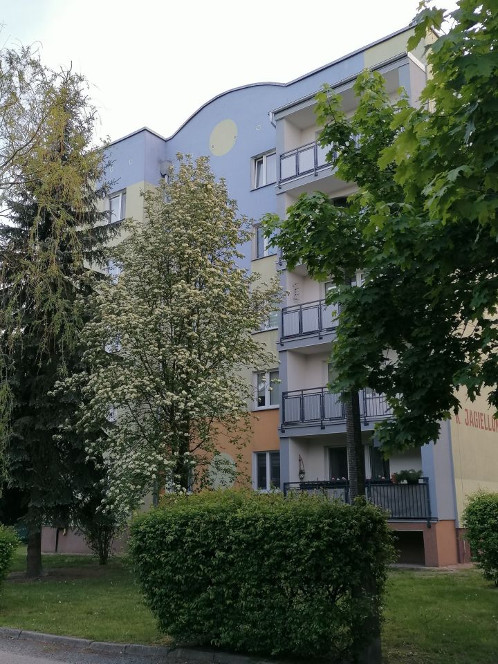 Mieszkanie 2-pokojowe Biała Podlaska, ul. Kazimierza Jagiellończyka. Zdjęcie 2