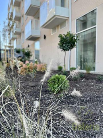 Mieszkanie 2-pokojowe Szczecin Kępa Parnicka, ul. Leona Heyki. Zdjęcie 2