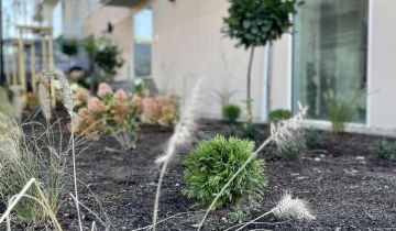 Mieszkanie 2-pokojowe Szczecin Kępa Parnicka, ul. Leona Heyki