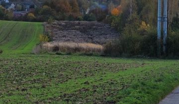 Działka na sprzedaż Zawiercie Żerkowice ul. Żerkowicka 8267 m2