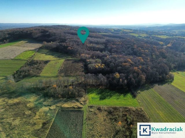 Działka rolna Podniebyle. Zdjęcie 1