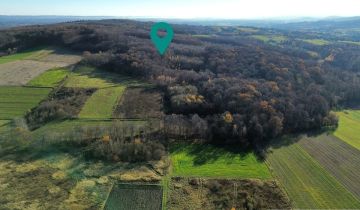 Działka rolna Podniebyle