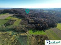 Działka rolna Podniebyle