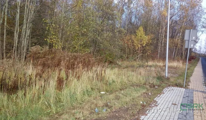 Działka inna Mysłowice Kosztowy, ul. Andrzeja Zielnioka