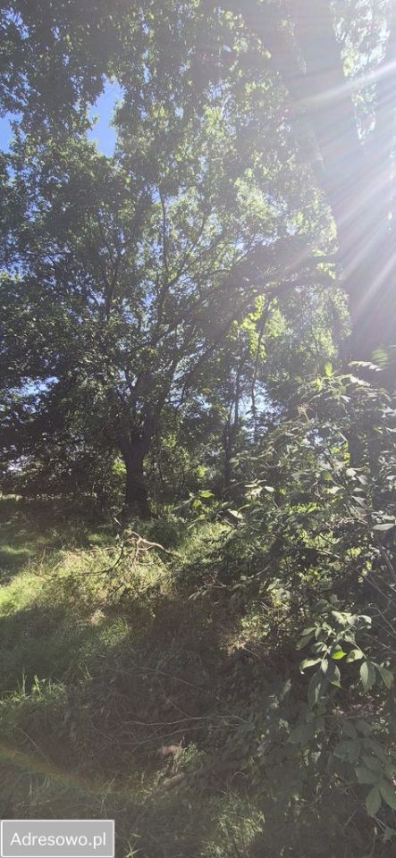 Działka rolno-budowlana Lekaszyn. Zdjęcie 4