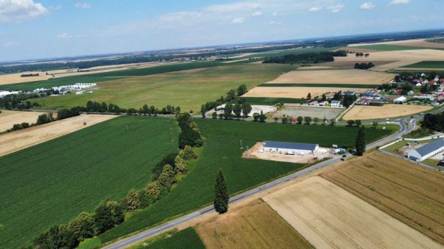 Działka inwestycyjna Mirosławice. Zdjęcie 5