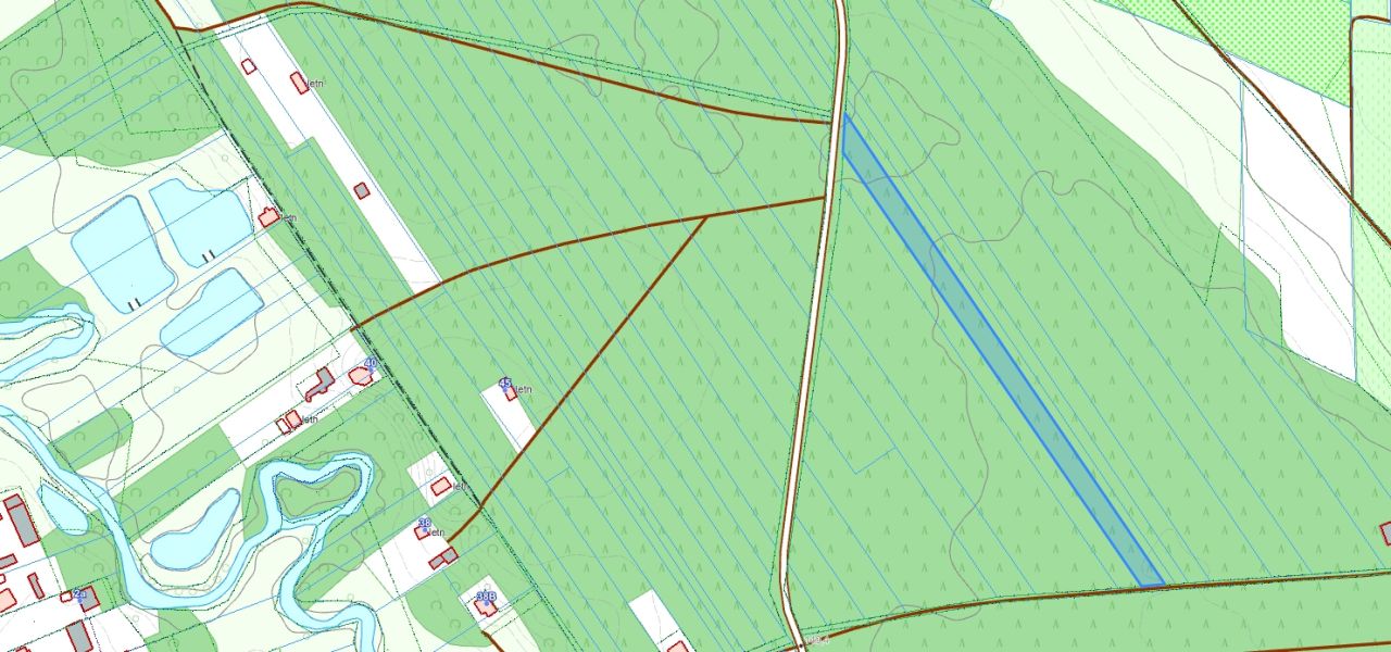 Działka leśna Grodzisk. Zdjęcie 5