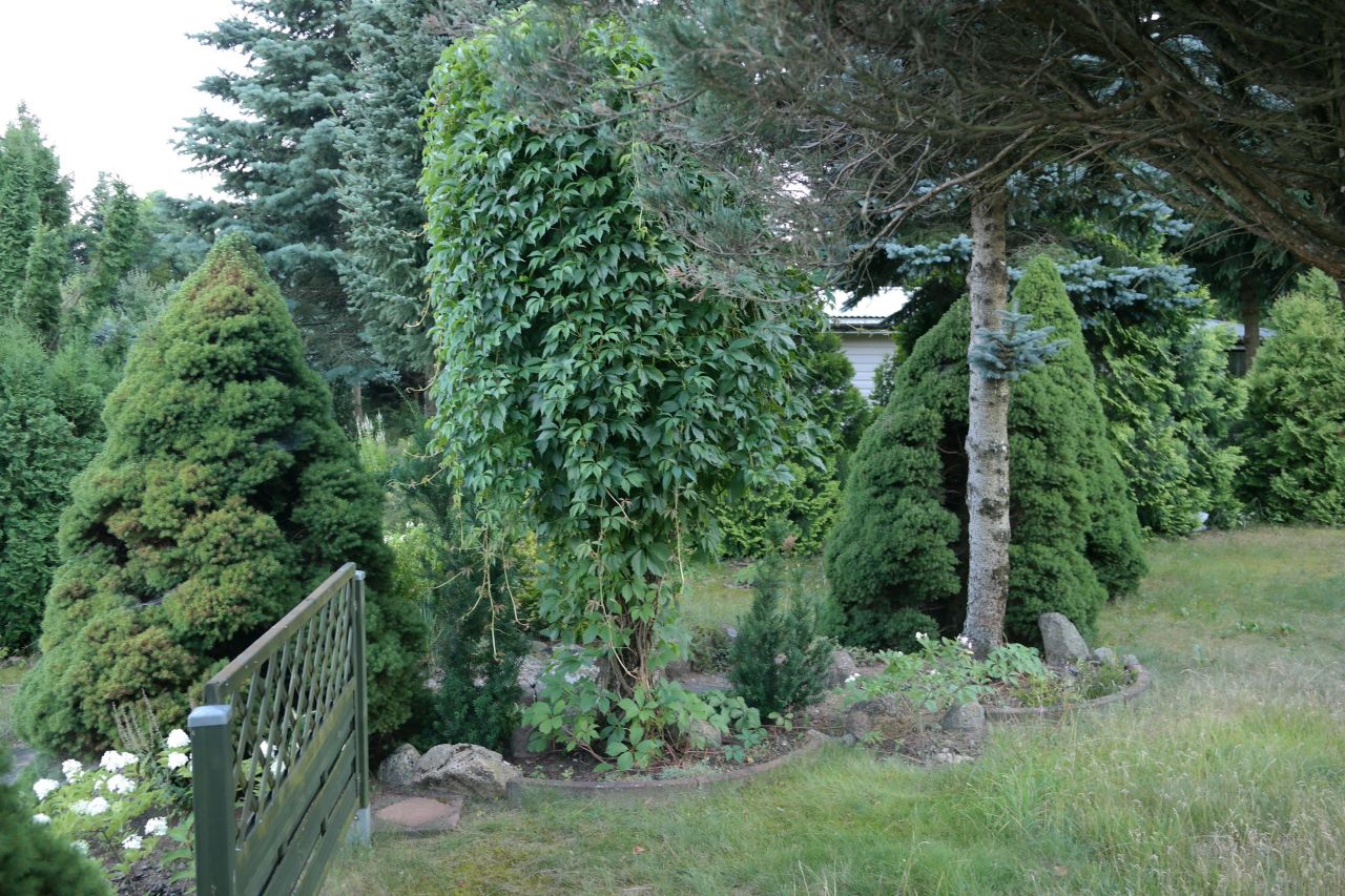 Działka rod Niewodnica Kościelna, ul. Działkowców. Zdjęcie 36