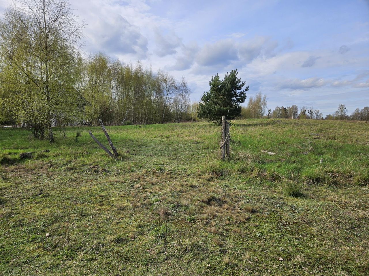 Działka rolna Marianowo, ul. Tymiankowa. Zdjęcie 11
