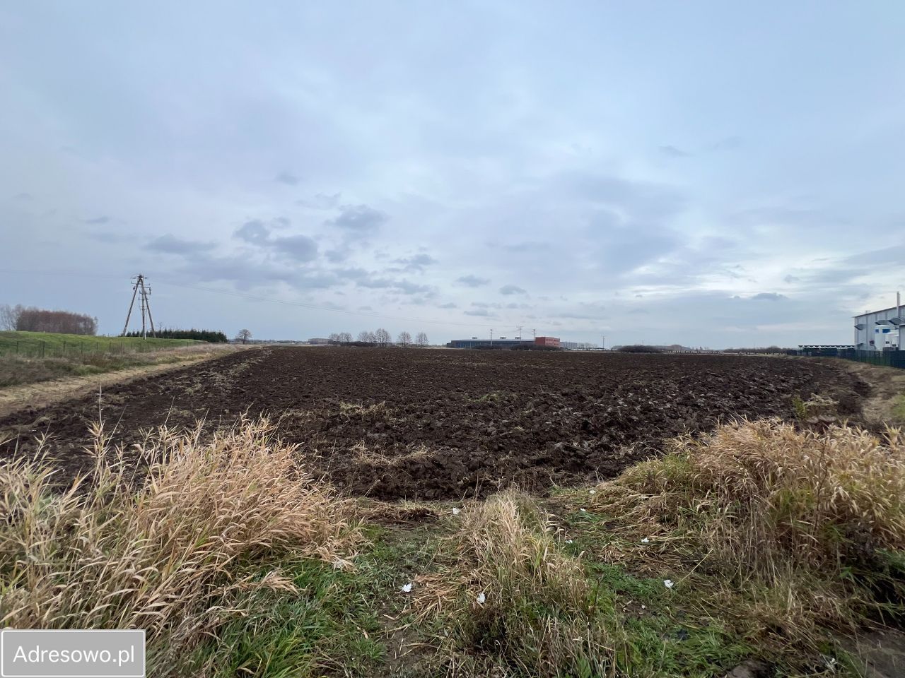 Działka inwestycyjna Łąka. Zdjęcie 10