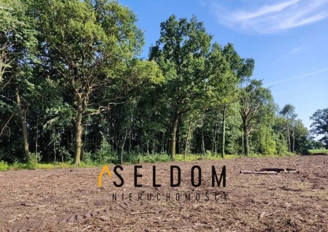 Działka budowlana Dąbrowa. Zdjęcie 2