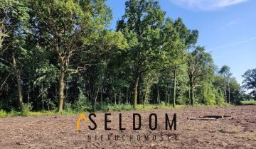 Działka budowlana Dąbrowa