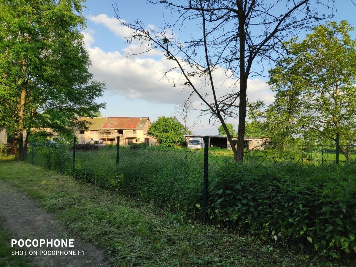 Działka rolna Grodziszów. Zdjęcie 2