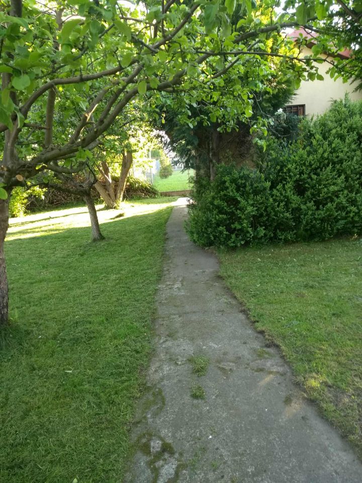 Działka rekreacyjna Żuromin, ul. Nowa. Zdjęcie 6