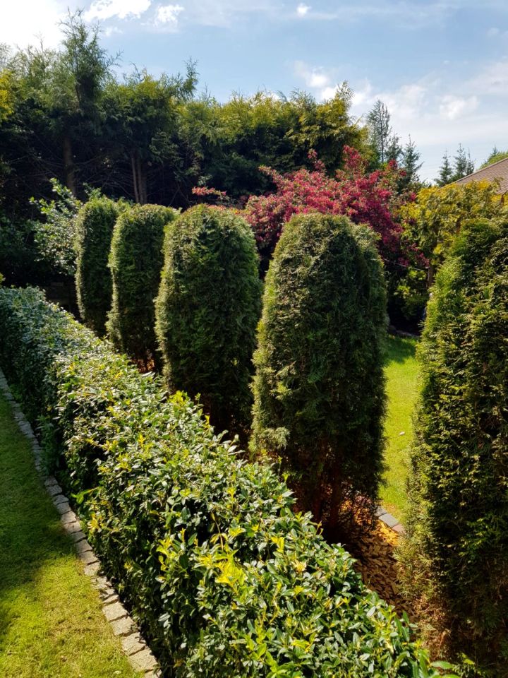 Działka rod Wierzchucinek. Zdjęcie 15