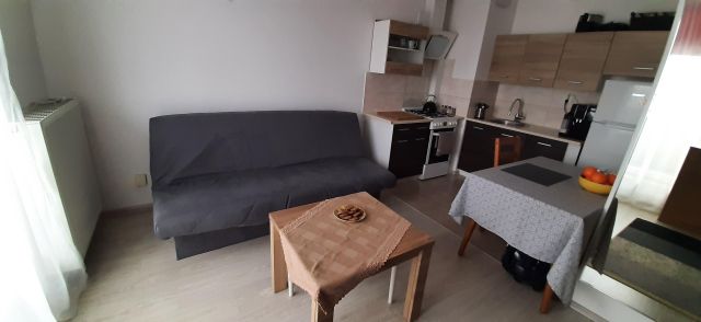 Mieszkanie 1-pokojowe Białystok Nowe Miasto, ul. Transportowa. Zdjęcie 1