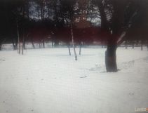 Działka rolno-budowlana Zawiercie Borowe Pole, ul. Oświatowa. Zdjęcie 1